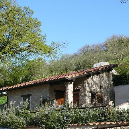 Вилла Complesso Agrituristico La Ciriola Пьедилуко Экстерьер фото